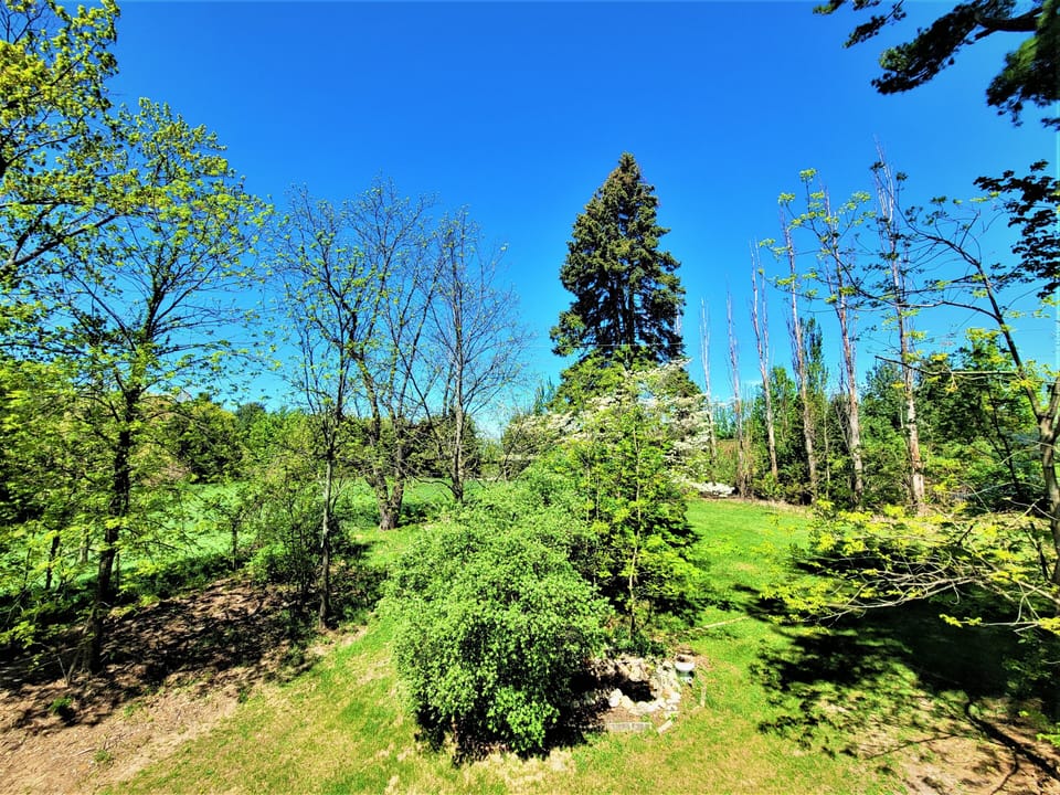 Master Bedroom Balcony View