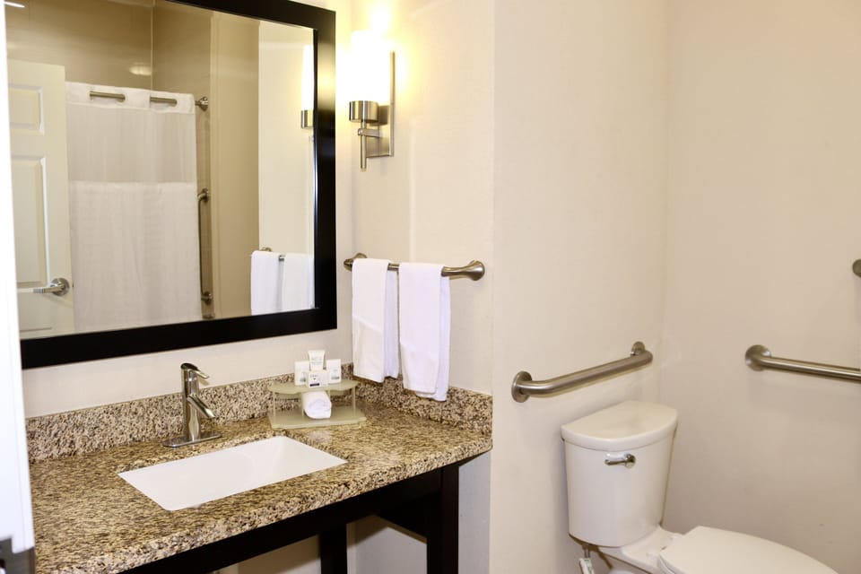 Combined shower/tub, free toiletries, hair dryer, towels