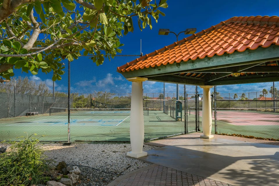 Newly Remodeled 5-bedroom 5-bath in Tierra del Sol! Villa in Noord