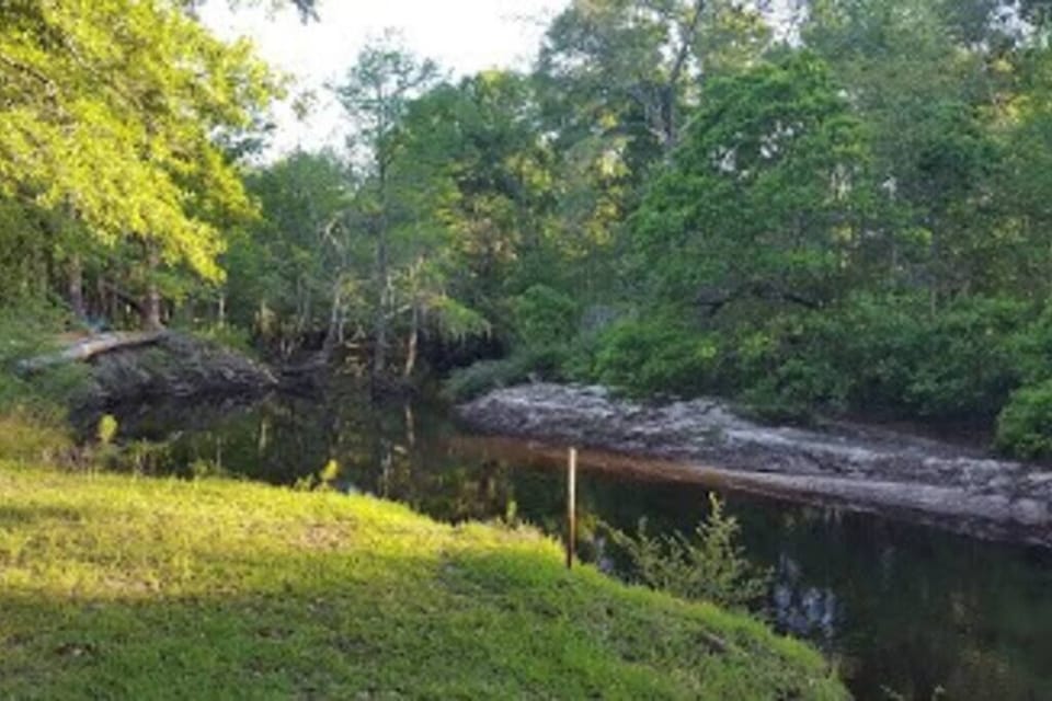 Oasis on the river