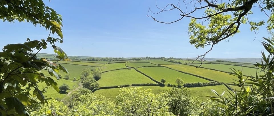 south facing views from Moor and Sea