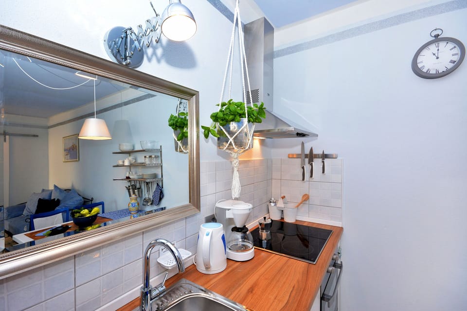 Apartment (A1) | Private kitchen | Fridge, oven, stovetop, dishwasher