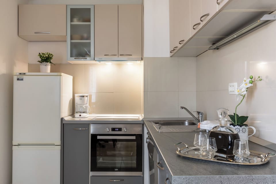 Apartment (A1) | Private kitchen | Fridge, microwave, oven, stovetop