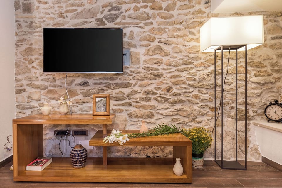 Television