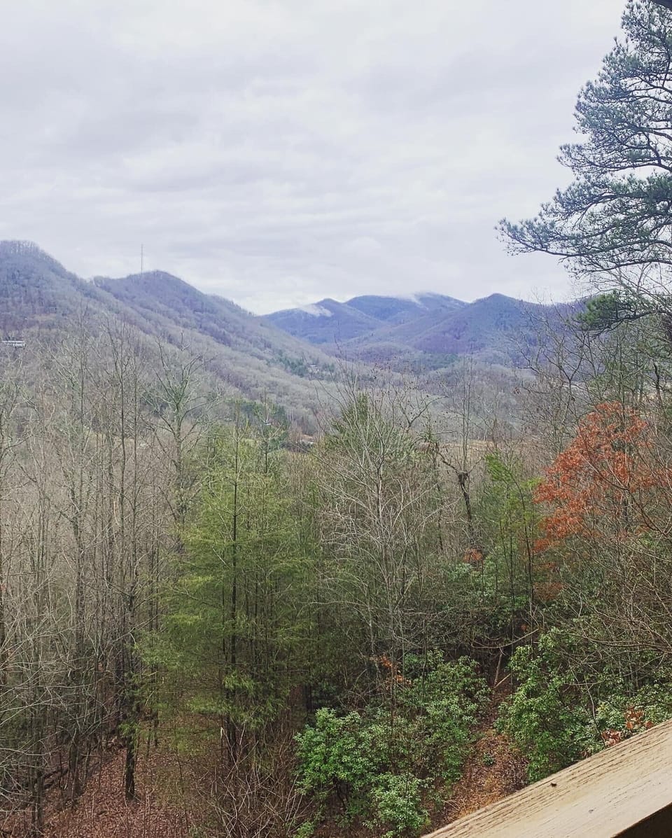 Truly a perfect view!