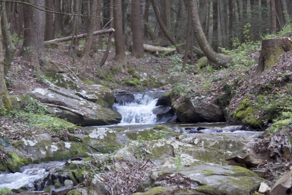 A shot of one of the water falls.