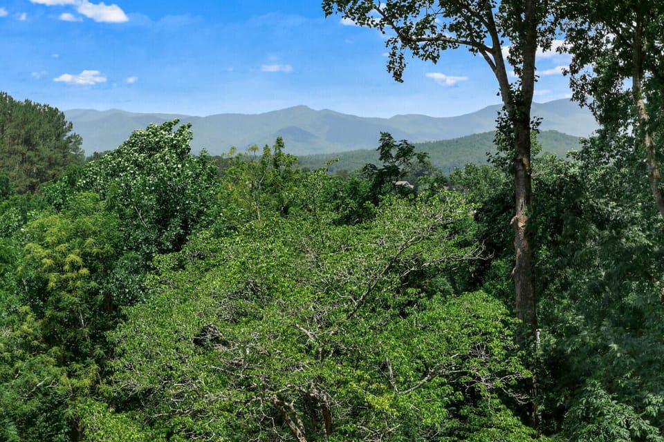 Balcony View  June 2023