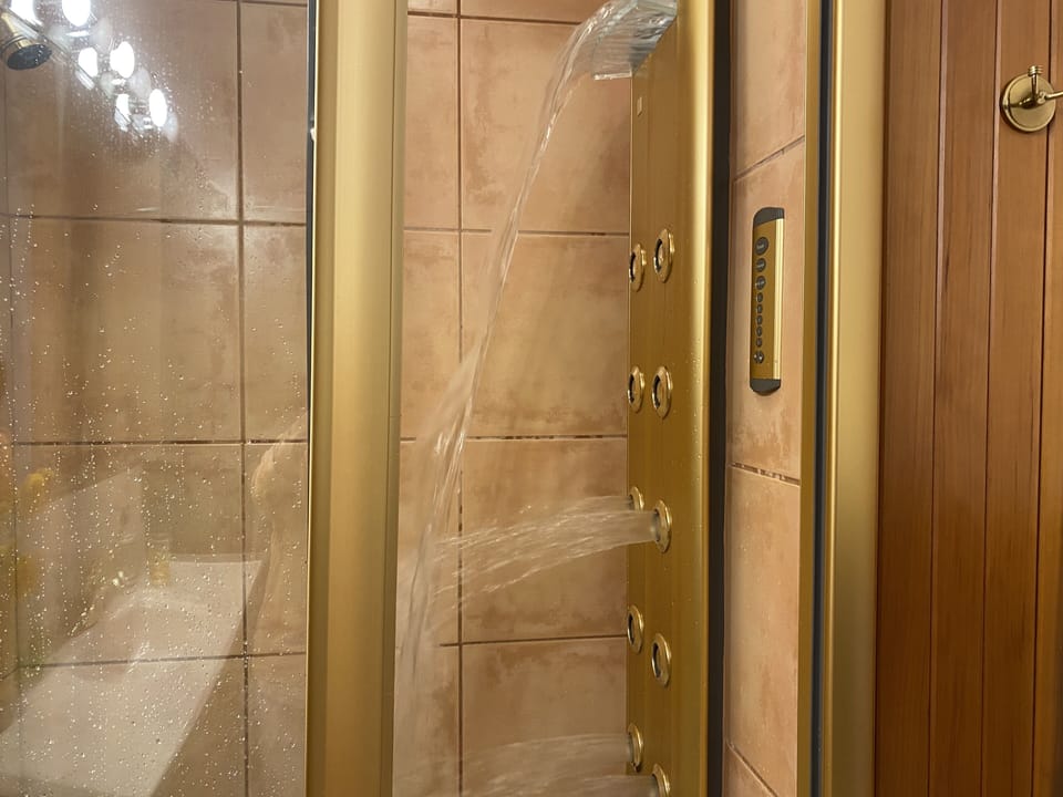 The shower room with the hydro massage feature.  