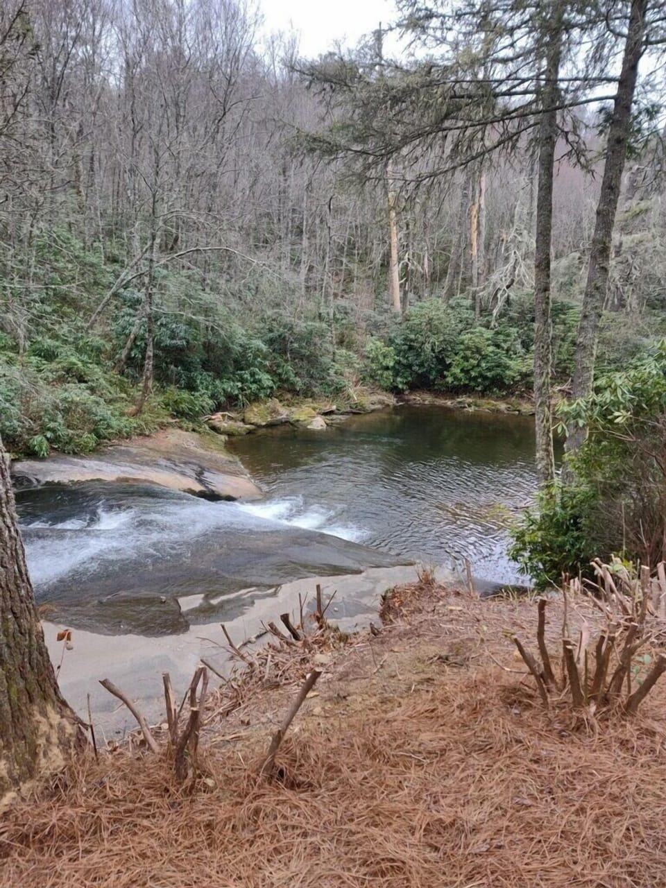 View from firepit in very early spring before everything began to bloom