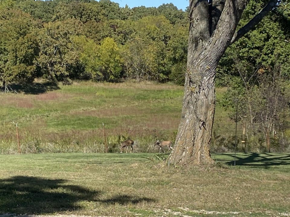 Outdoor view