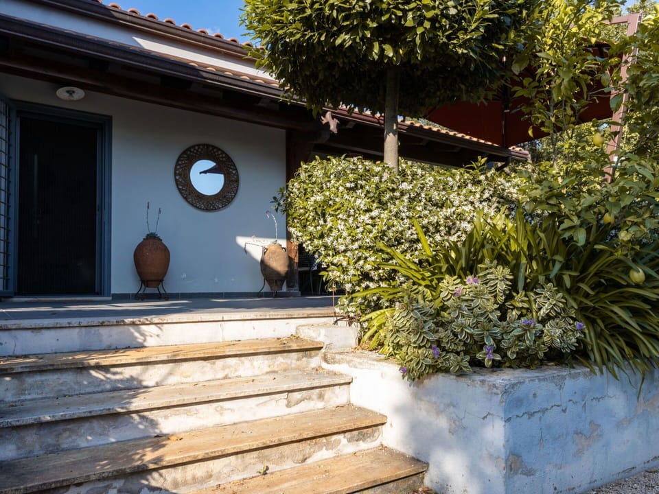 Plant, Property, Window, Building, Blue, Shade, Door, Tree, Wood, Stairs