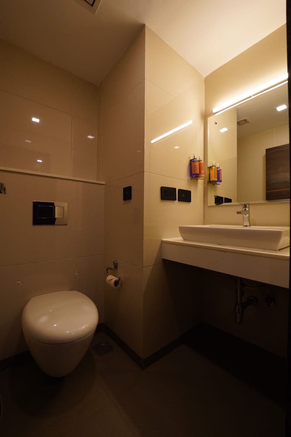 Connect Suite | Bathroom shower