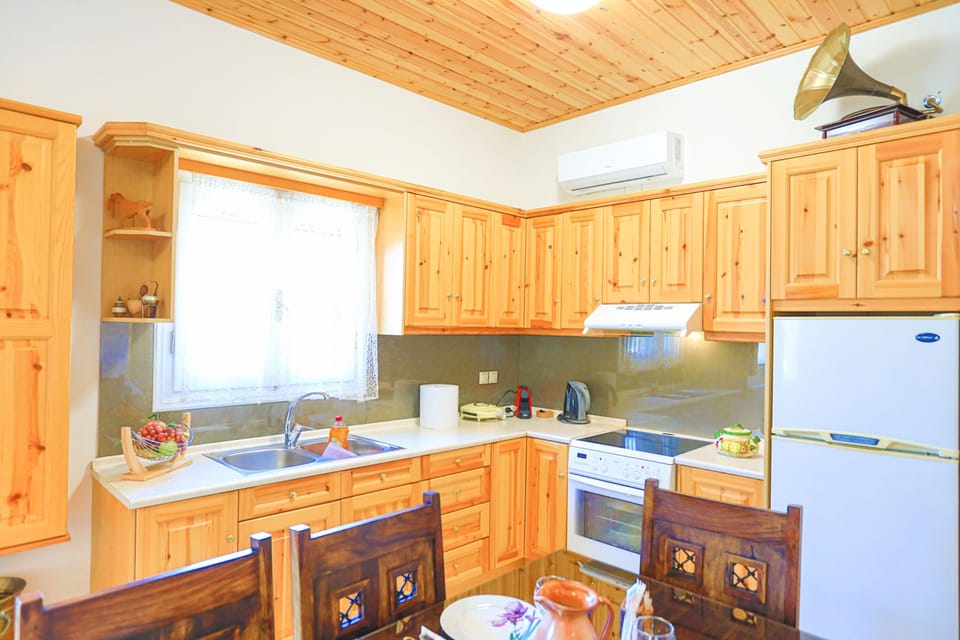Traditional Kitchen with fridge and gramaphone