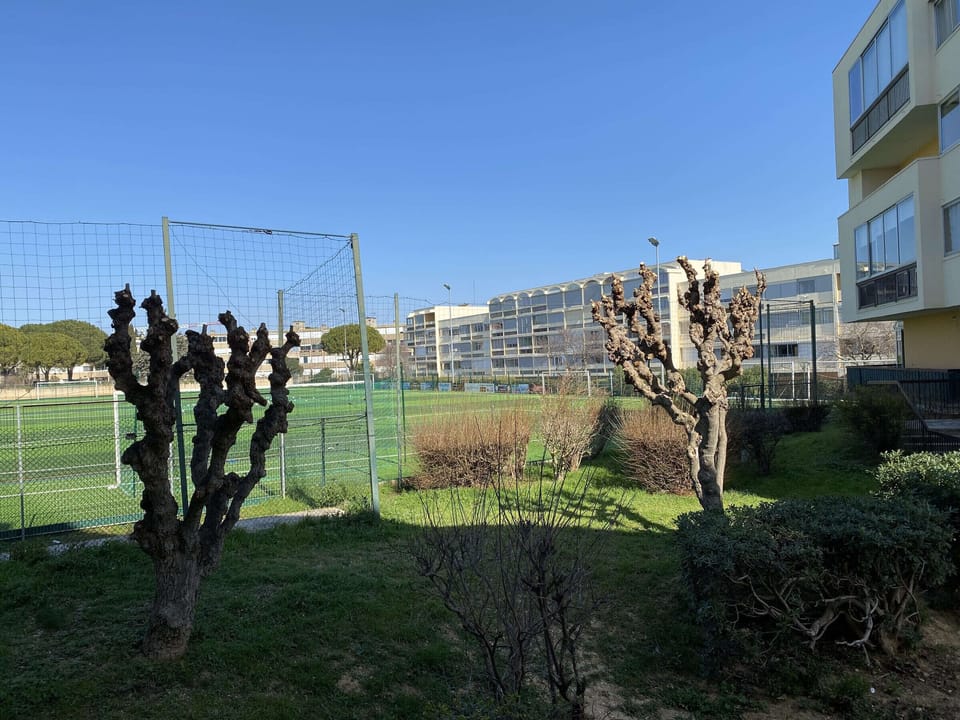Sport court