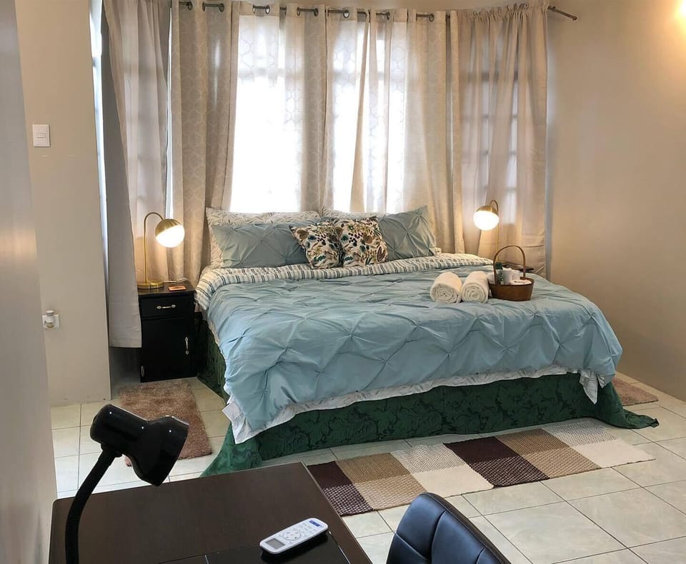 Executive Suite | Iron/ironing board (on request), WiFi (free)