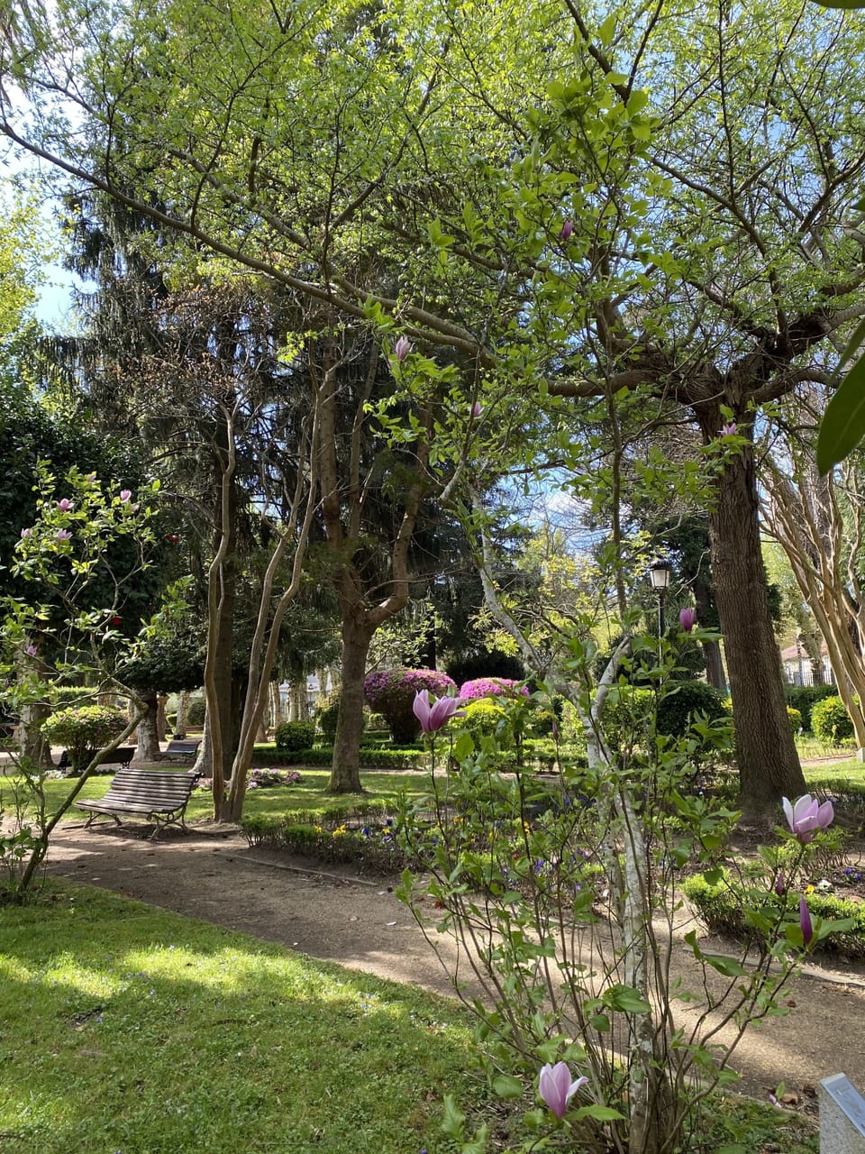 Jardín Botánico 