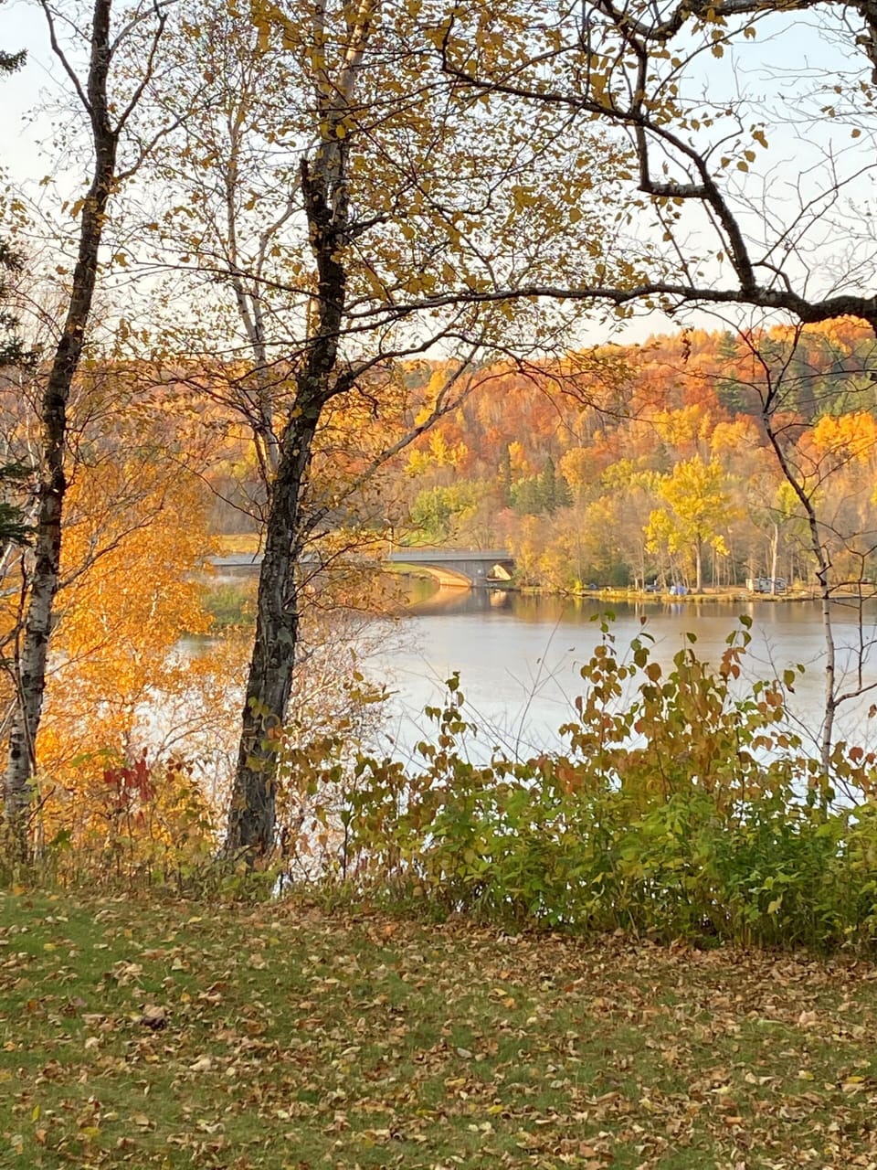 View in the fall