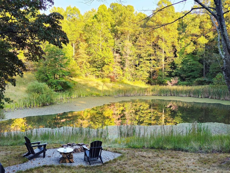 Welcome to Pollinator Tiny Bungalow. This Art Bungalow - is ready for your Immersive Nature Retreat.