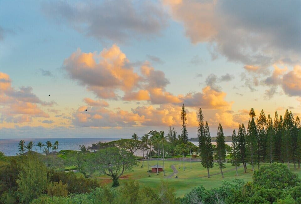 Enjoy a cup of perfectly prepared coffee on your lanai as you watch Maui magically come to life