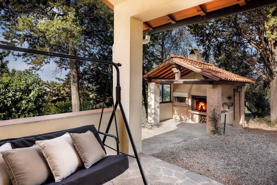 Wood-fired pizza oven