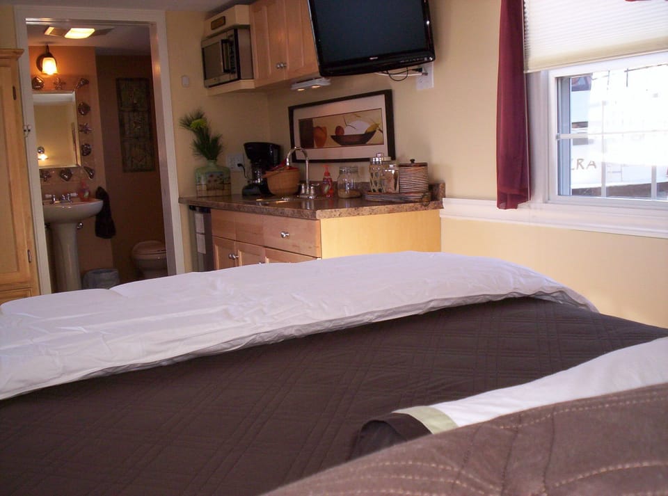 Green Turtle I Houseboat Suite with kitchenette and private en suite bathroom.