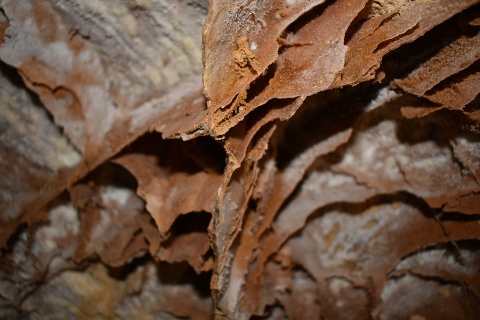 Wind Cave National Park