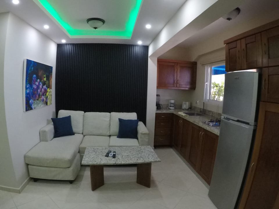 The living room area and the fully stocked galley kitchen.