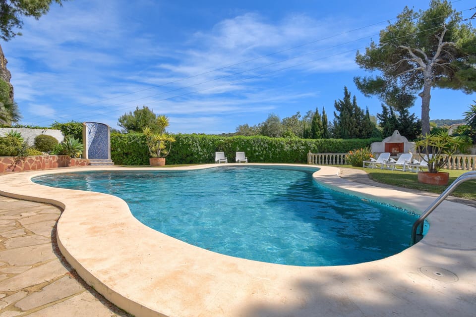 Garden and swimming pool