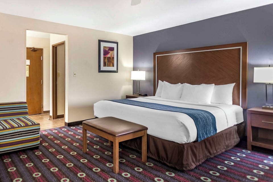 Suite, 1 King Bed with Sofa bed, Non Smoking (1 Person Sofa Bed) | Individually furnished, desk, iron/ironing board, free WiFi