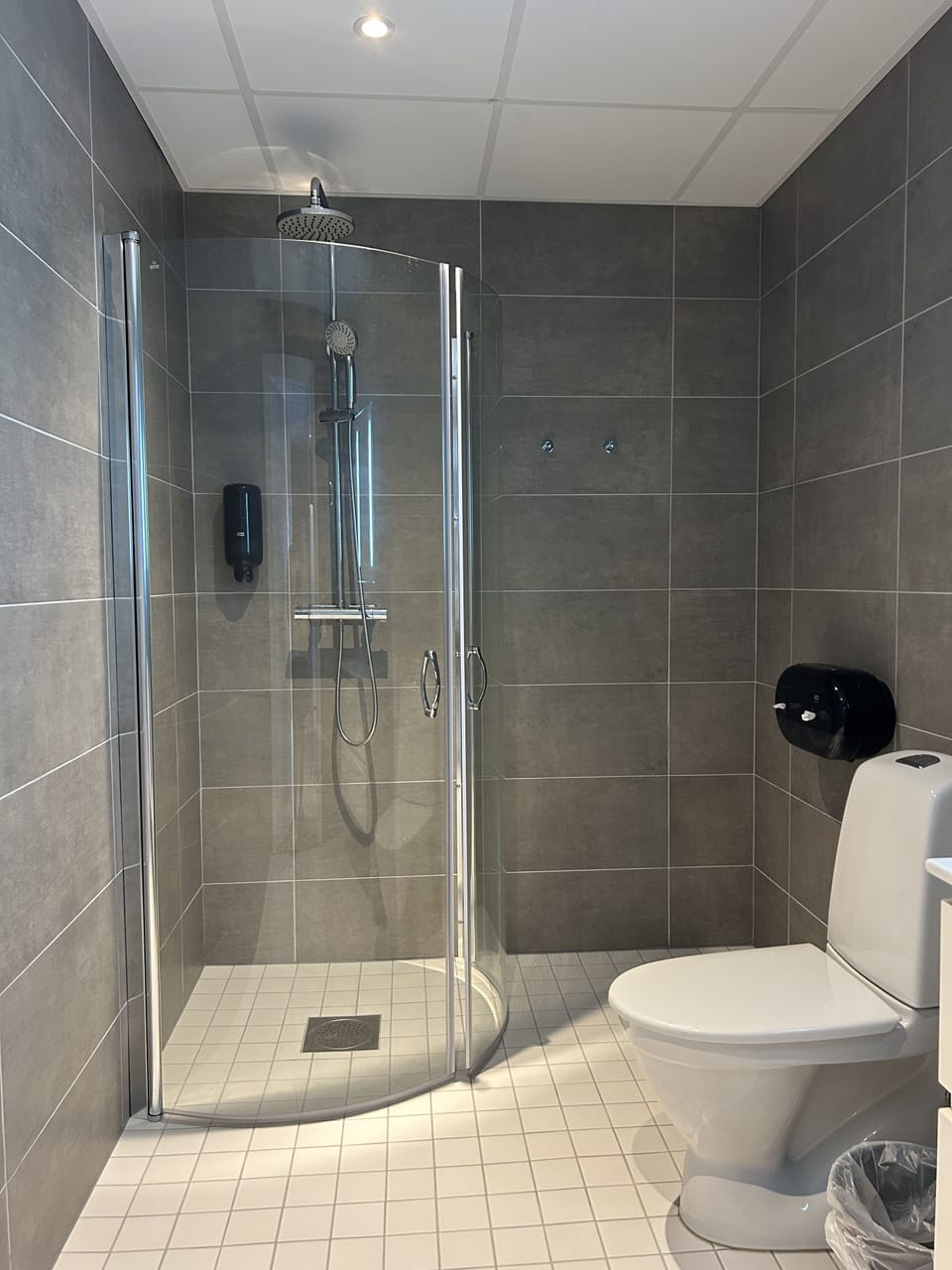 Standard Studio Suite, 1 King Bed with Sofa bed | Bathroom | Shower, towels