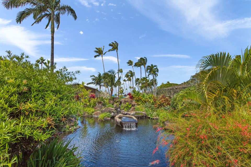 Flourishing vegetation and ponds