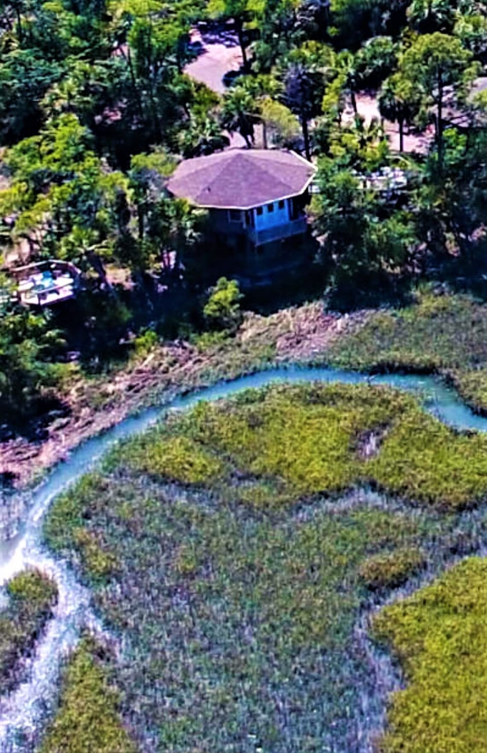 Aerial view of treehouse from marsh