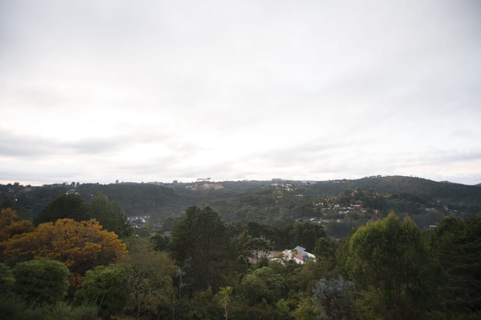 Land view from property