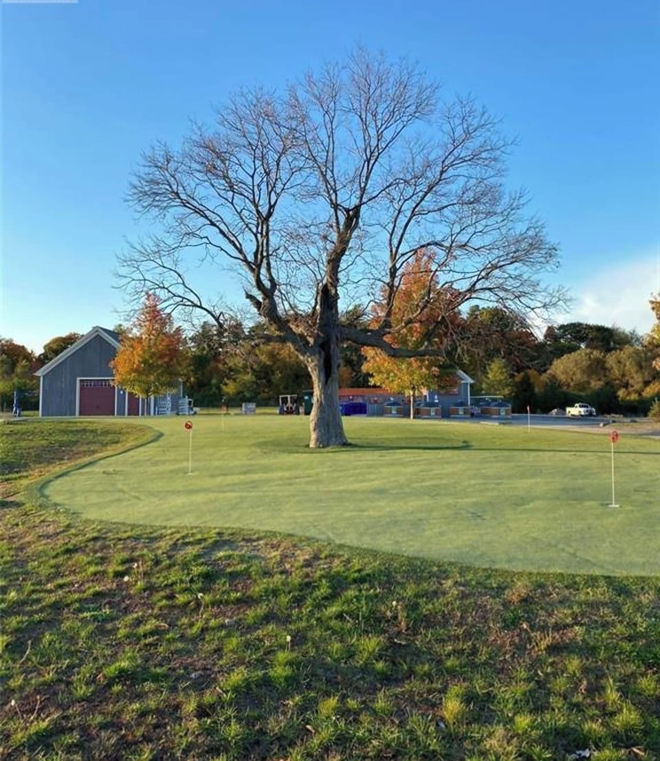 Golf