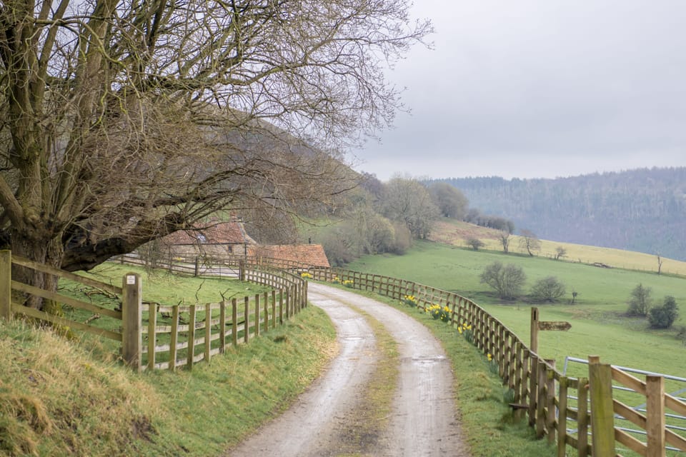 Lane leading to the cottage