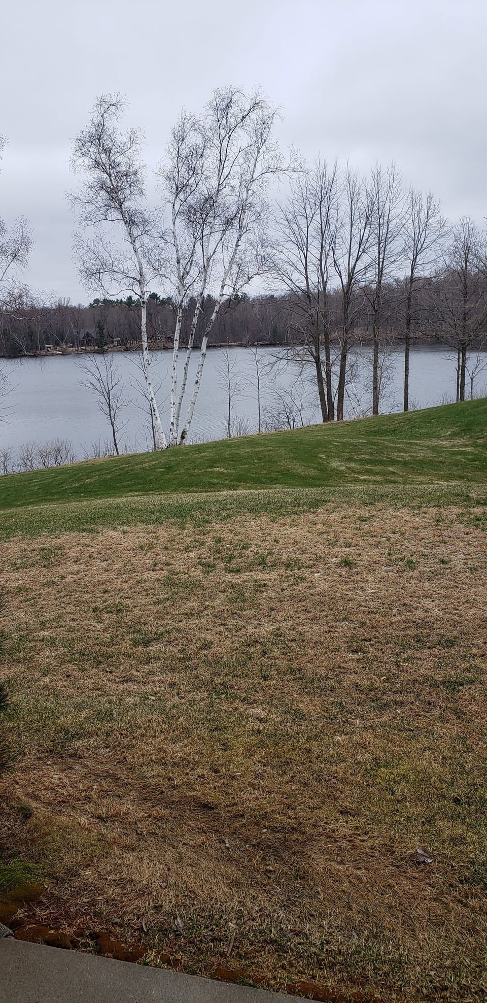 Condo, 1 Bedroom | Property grounds