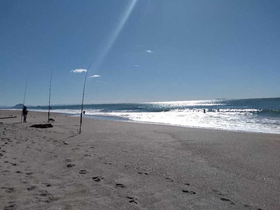 "Great surfcasting "-Cast a line with a "Morning Toddie" OR a Evening Coldie" ! 