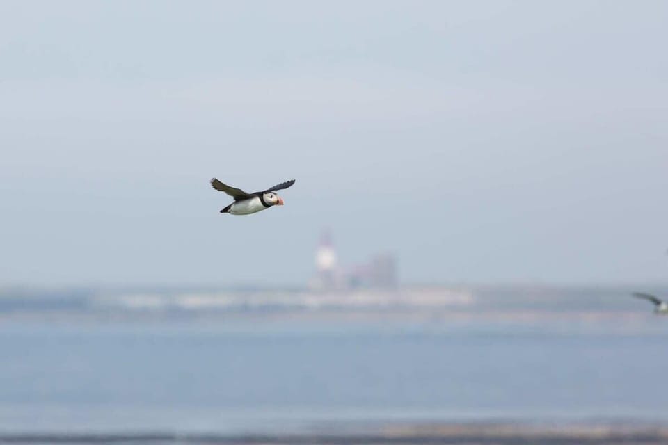 Seafarers, Seahouses - Host & Stay