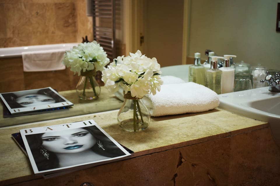 Shower, free toiletries, hair dryer, towels