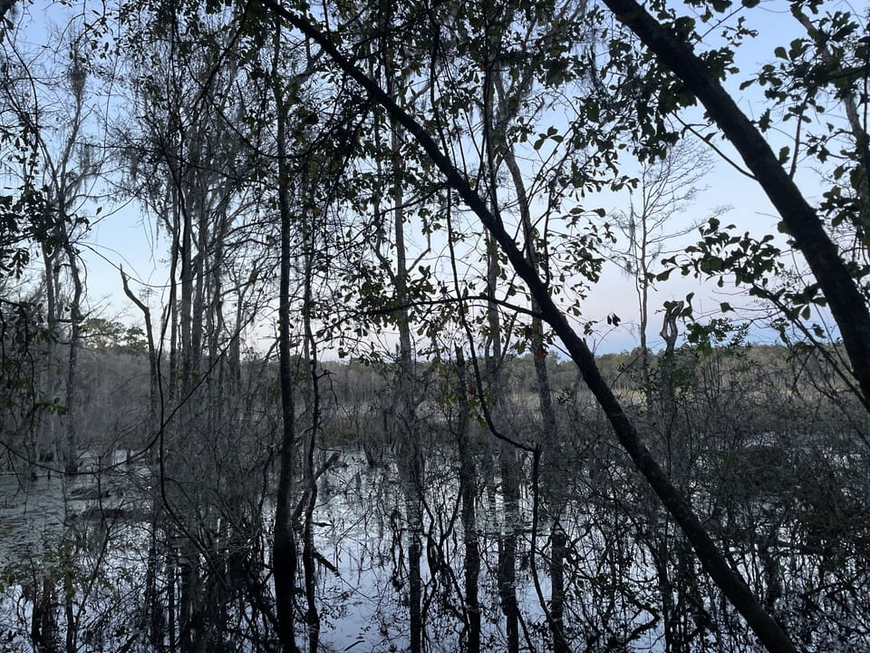 San Felasco Park