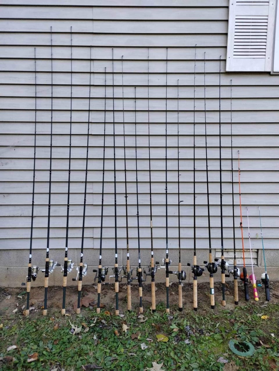Rod and reels for rent.