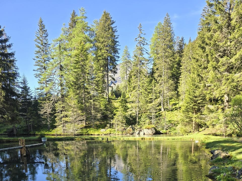 Surroundings [summer] (1-5 km)