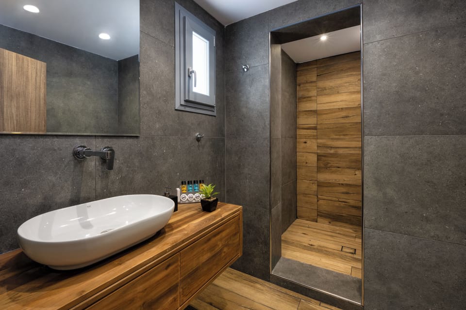 Basic Room | Bathroom | Shower, rainfall showerhead, hair dryer, slippers