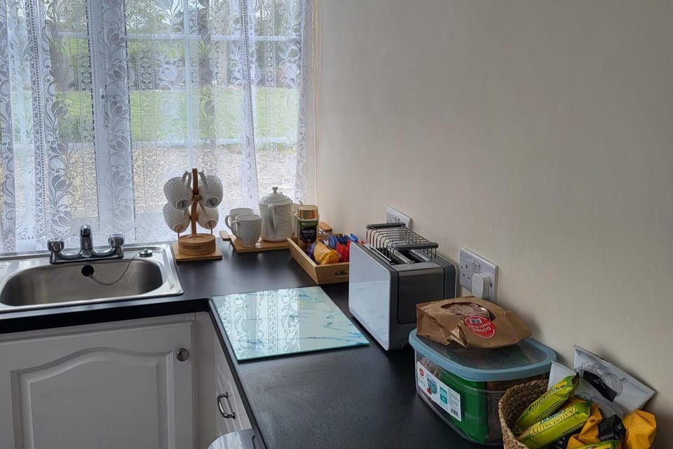 Fridge, microwave, dishwasher, electric kettle