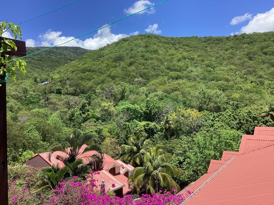 View from property