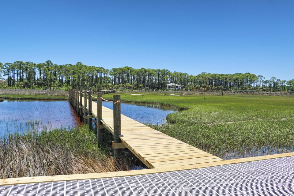 A Look Back Towards Property from Dock