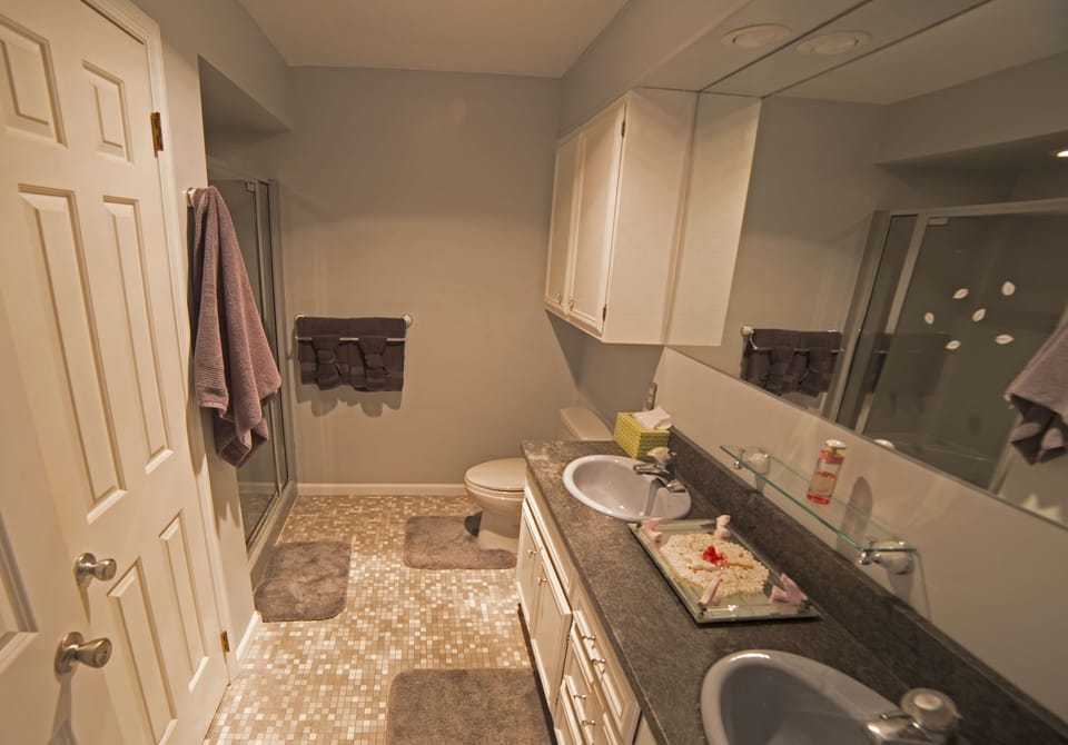 Orchid room bathroom