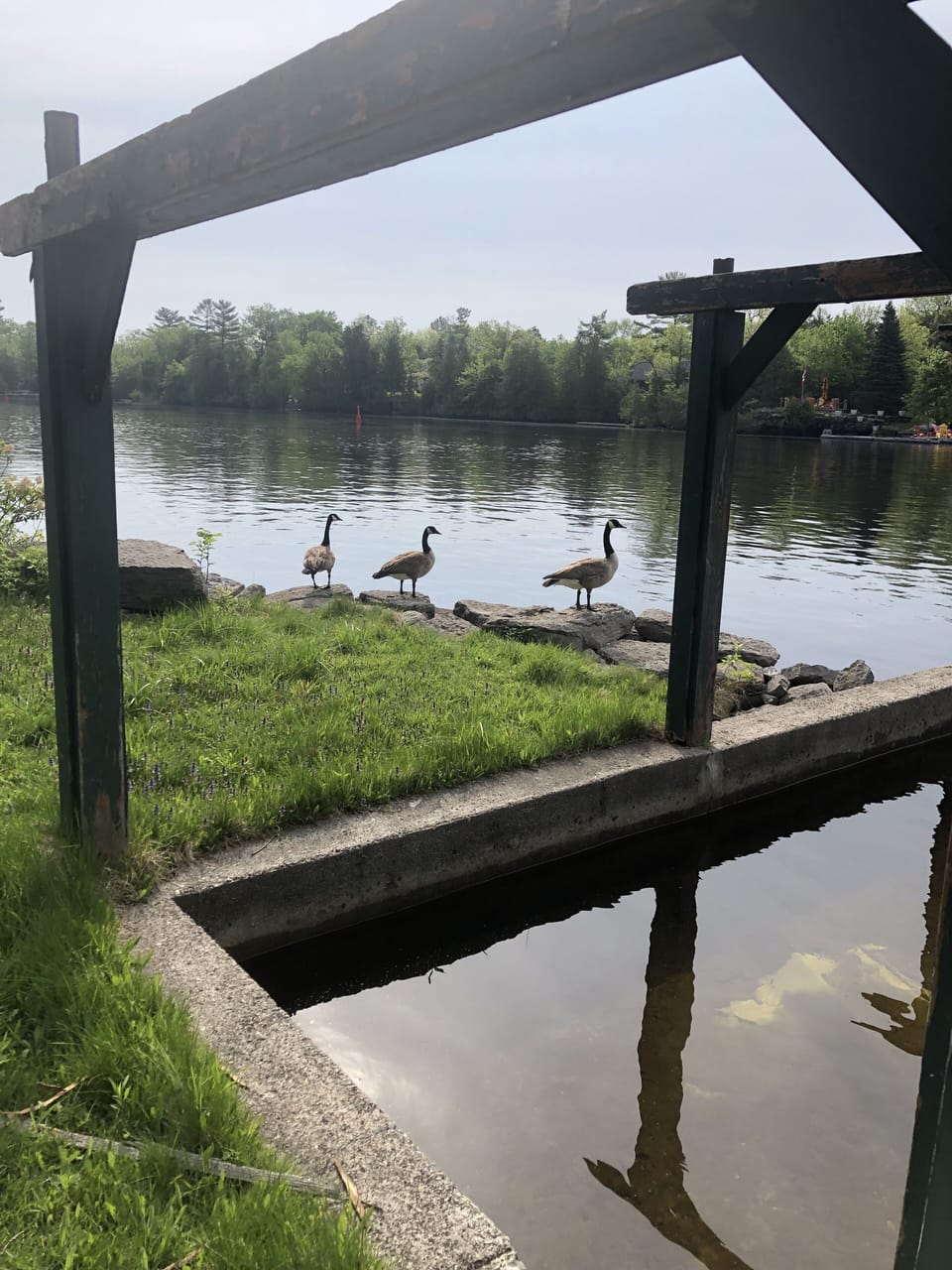 View from property
