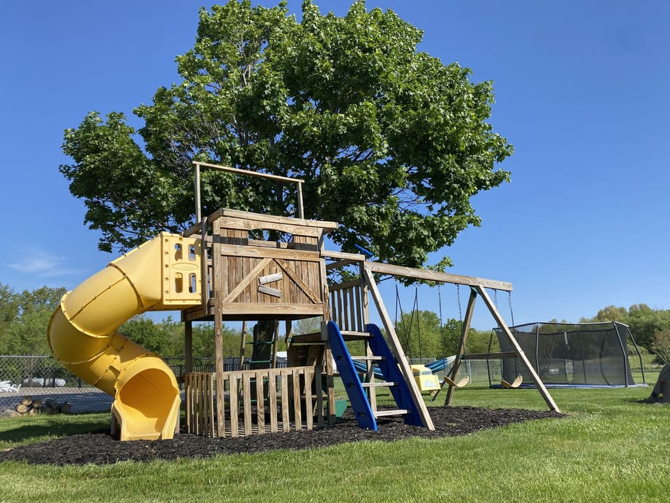 Come monkey around on our Playground!