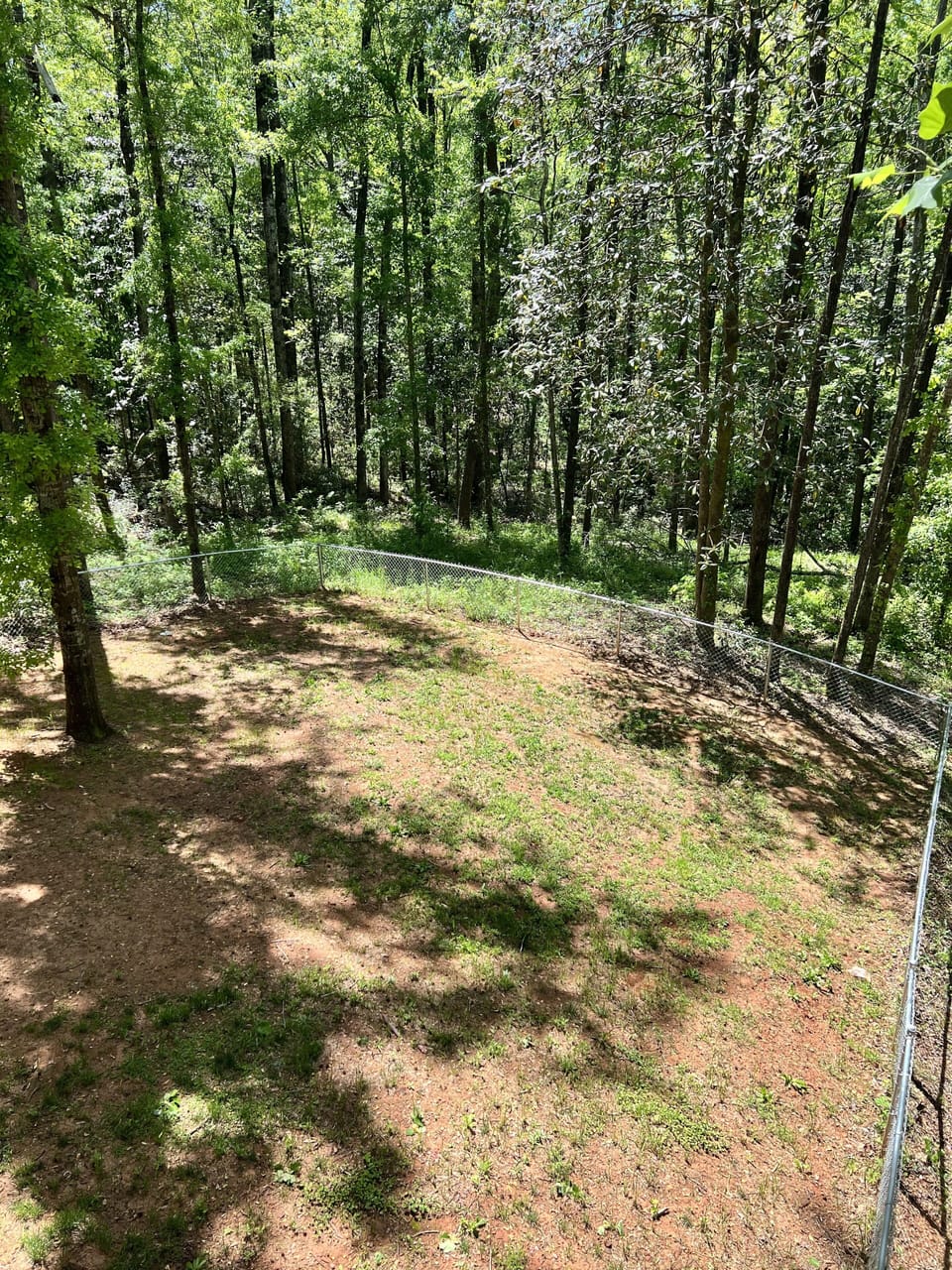 Fenced backyard